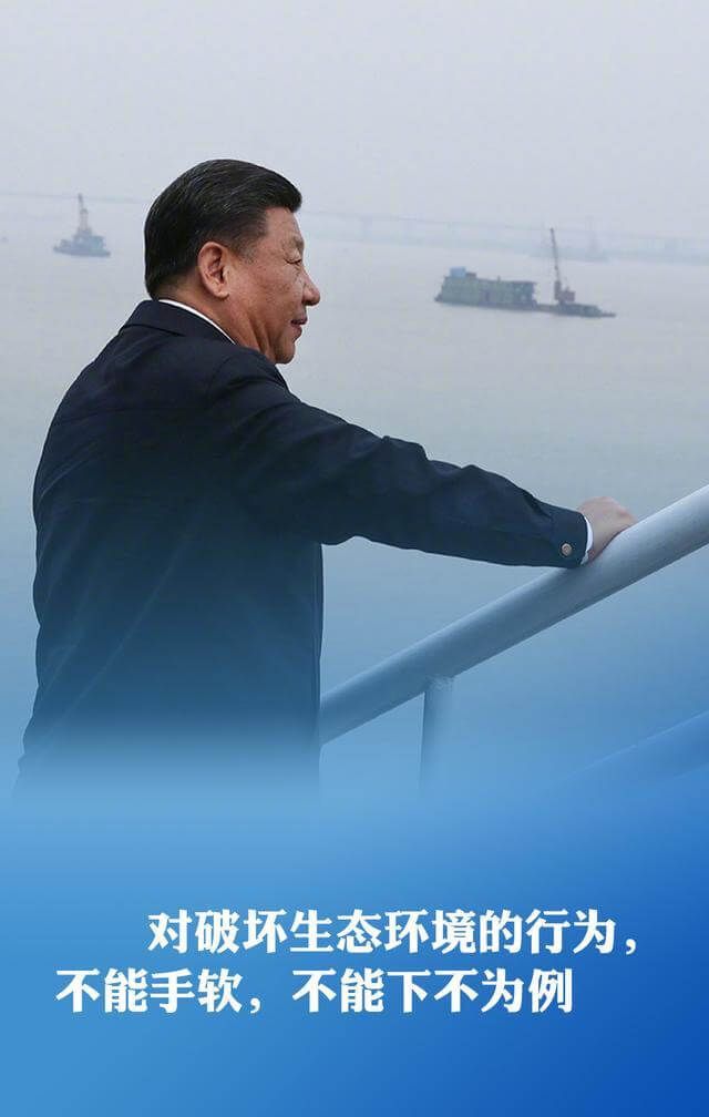 ebfa77257bda45e7b06d1b0230f7e913.jpg
